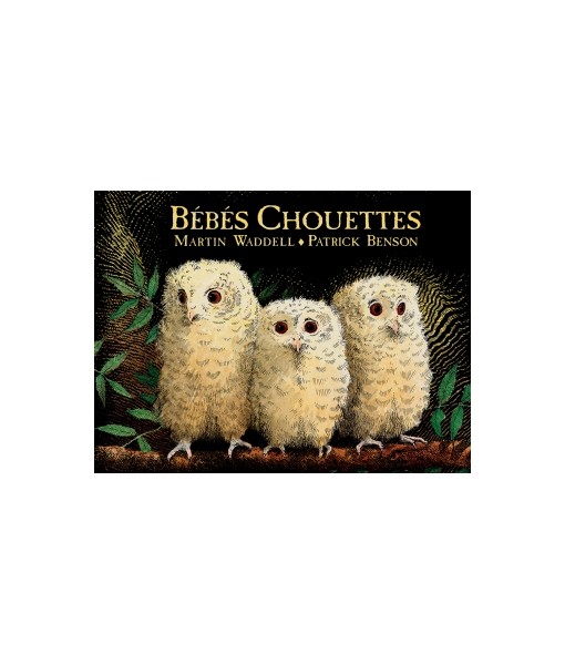 Bébés chouettes (coll. Lutins)
