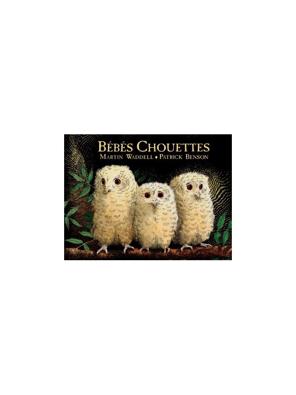 Bébés chouettes (coll. Lutins)