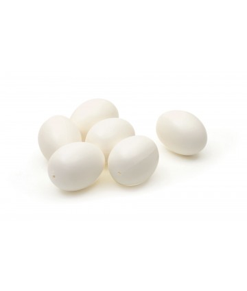 Œufs plastique blanc (x 6)