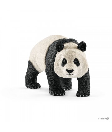 Wild life - Panda géant mâle