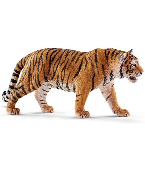 Wild life - Tigre du Bengale mâle