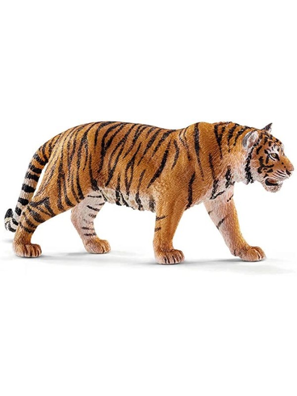 Wild life - Tigre du Bengale mâle