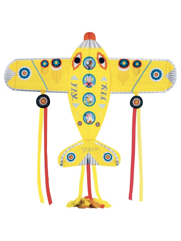 Cerf-volant maxi plane