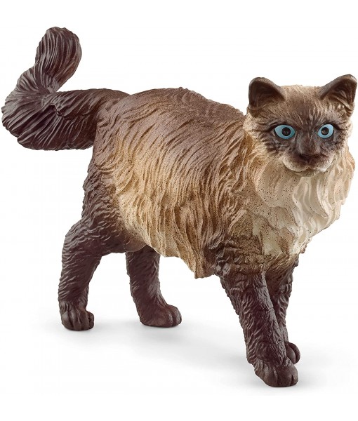 Farm world - Chat ragdoll