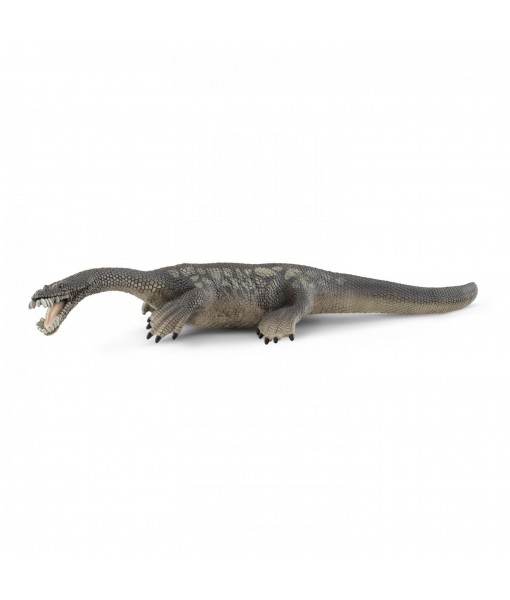 Dinosaurs - Nothosaurus