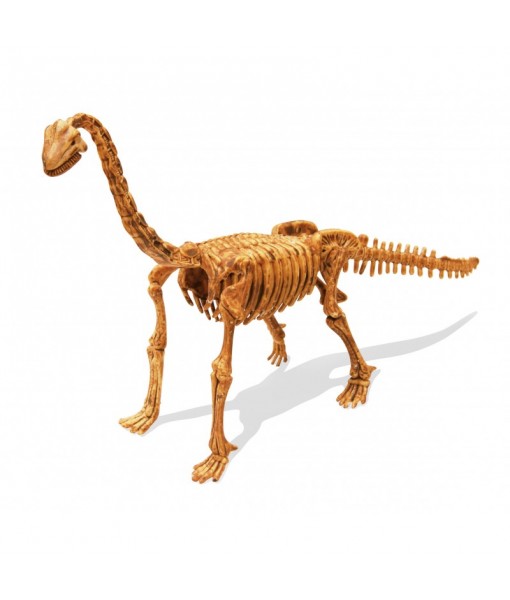 Dinokit brachiosaure