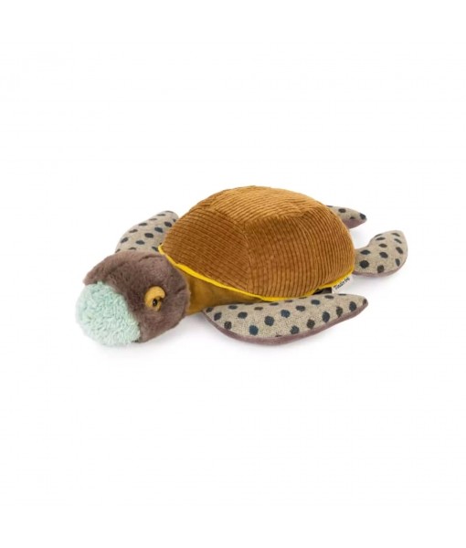 Petite tortue Tout autour du monde