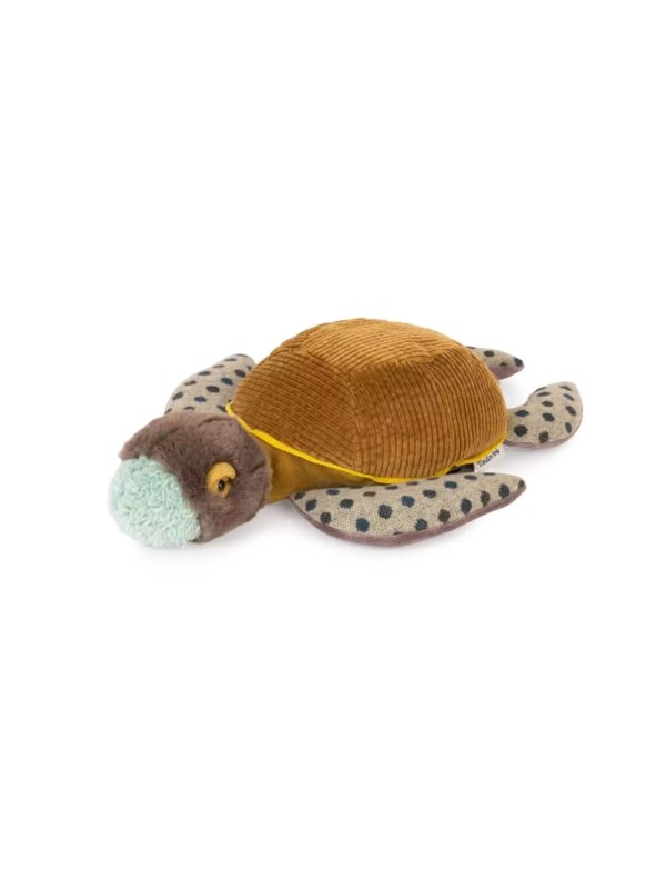Petite tortue Tout autour du monde