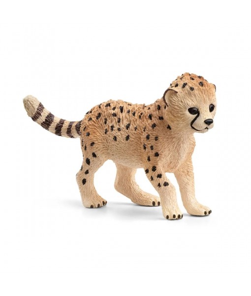 Wild life - Bébé guépard