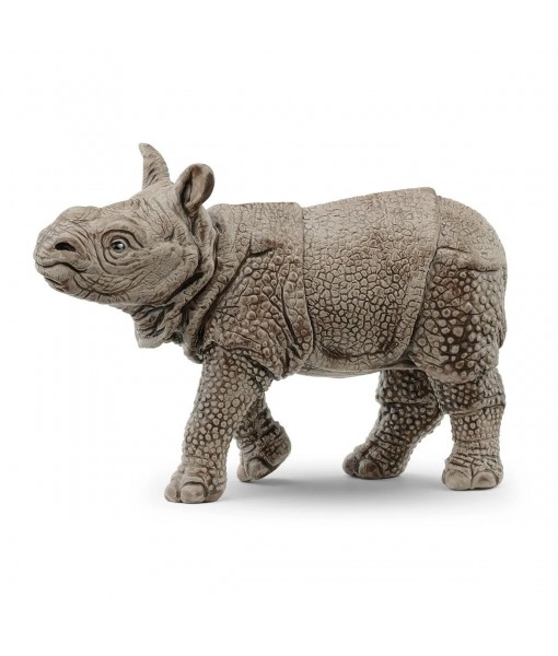 Wild life - Bébé rhinocéros indien