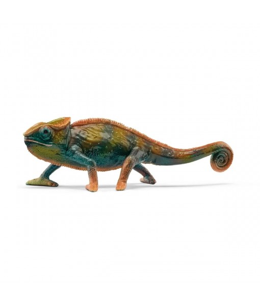 Wild life - Caméléon