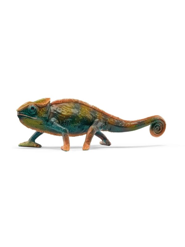 Wild life - Caméléon