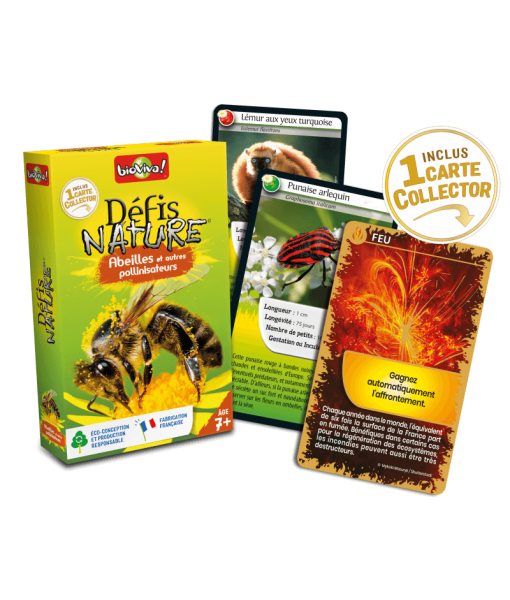 Défis Nature Abeilles et autres pollinisateurs