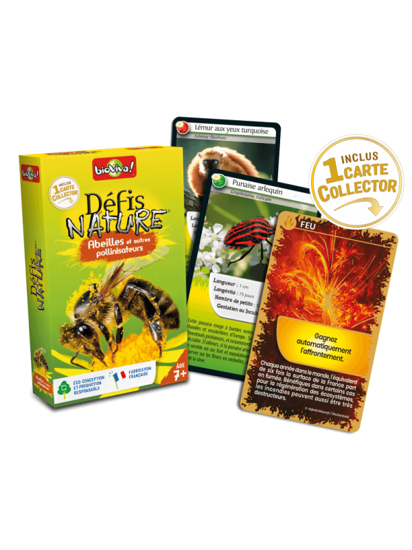 Défis Nature Abeilles et autres pollinisateurs