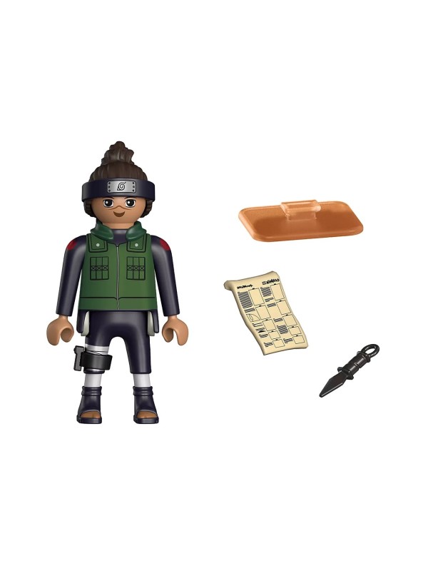 Naruto Shippuden - Iruka