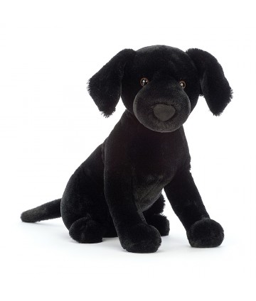 Pippa black labrador