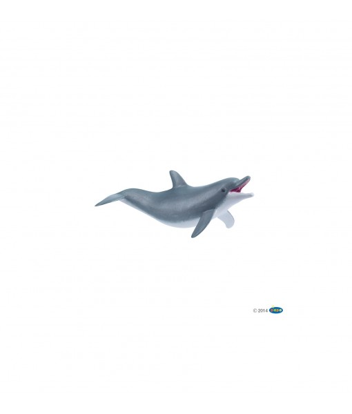 Dauphin jouant