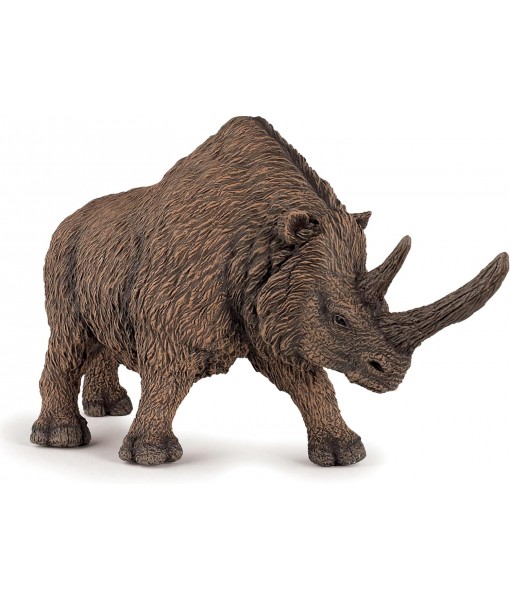 Rhinocéros laineux