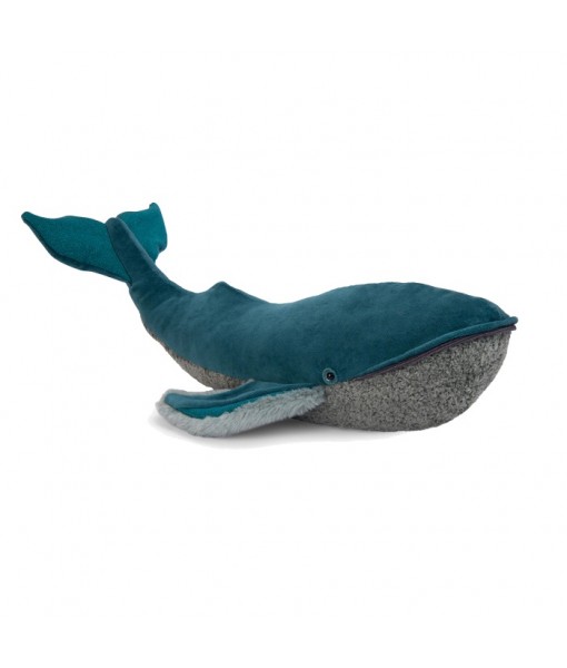 Grande baleine à bosse Tout autour du monde