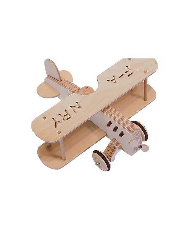 L'avion de Saint Ex