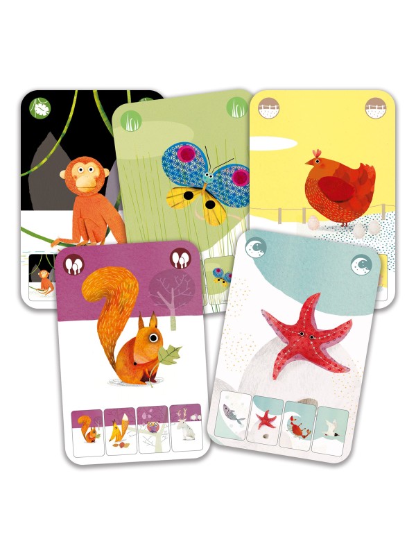 Mini nature - jeu de cartes