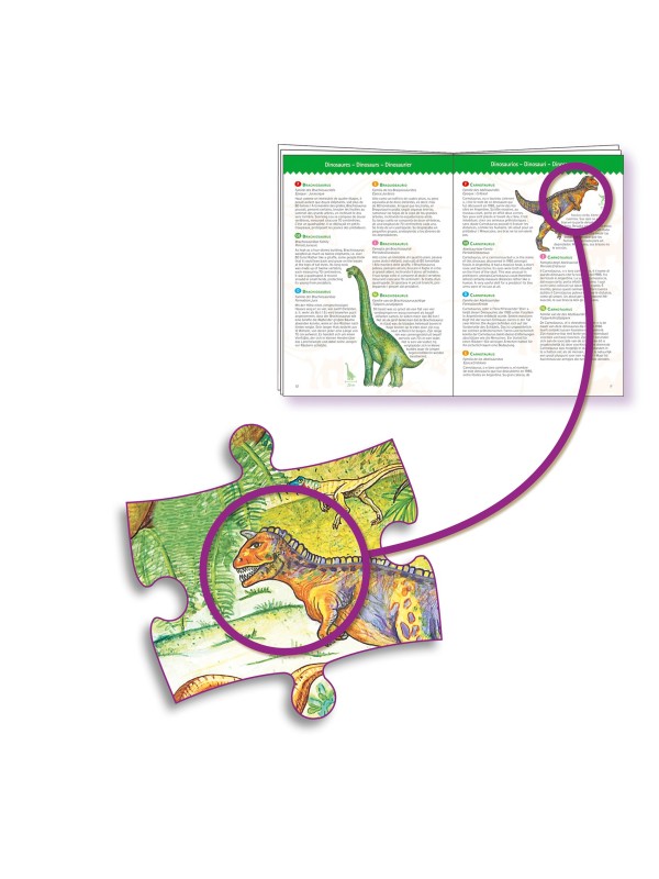 Puzzle observation Dinosaures - 100 pièces