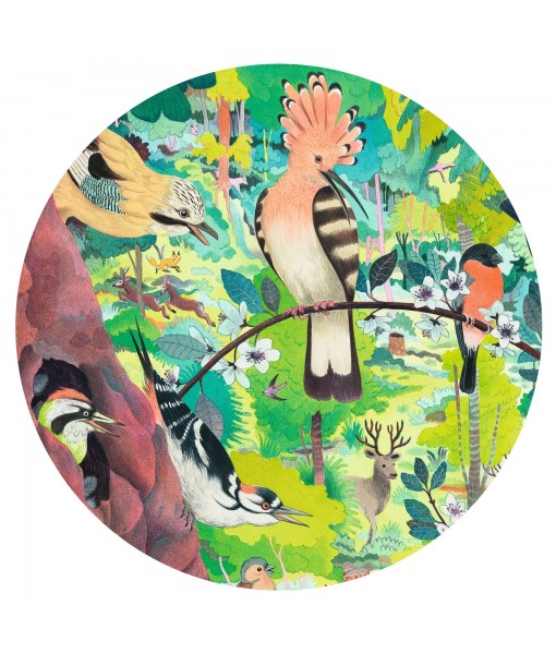 Puzzle gallery Owls and birds - 1000 pièces