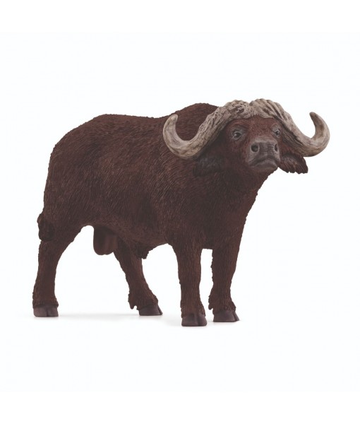 Wild life - Buffle d'Afrique