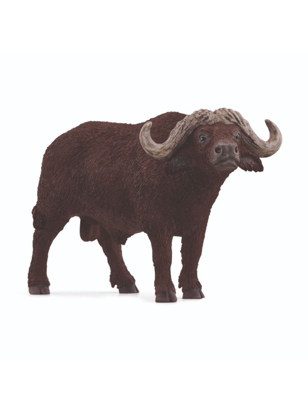 Wild life - Buffle d'Afrique