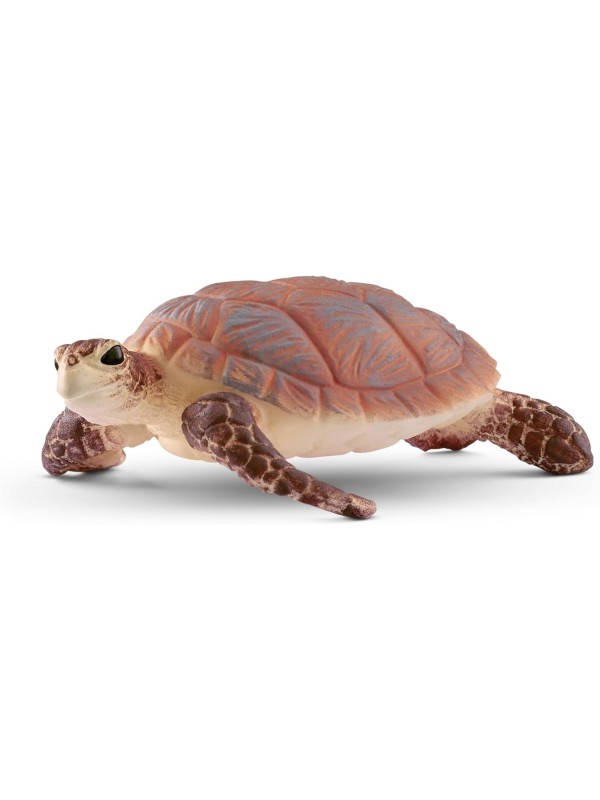 Wild life - Tortue de mer