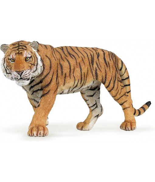 Tigre