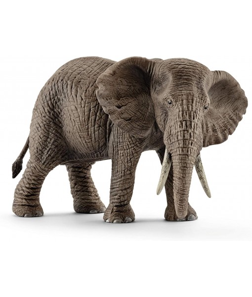 Wild life - Éléphant d'Afrique femelle