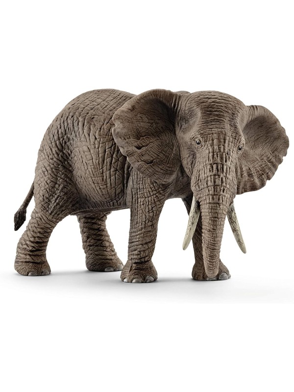 Wild life - Éléphant d'Afrique femelle