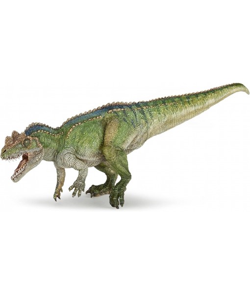 Ceratosaurus