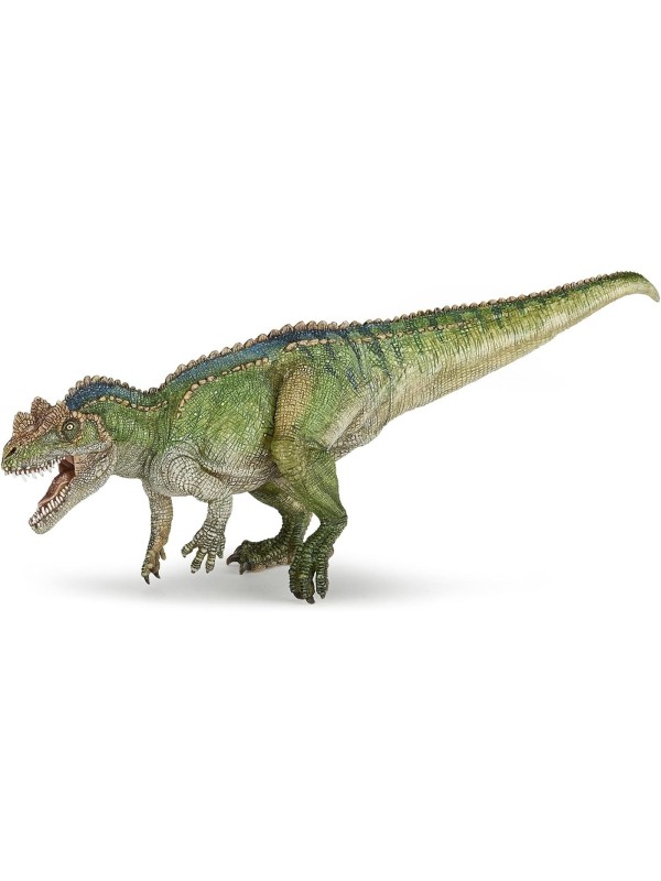 Ceratosaurus