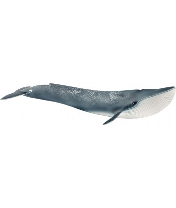 Wild life - Baleine bleue