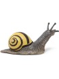 Escargot des bois