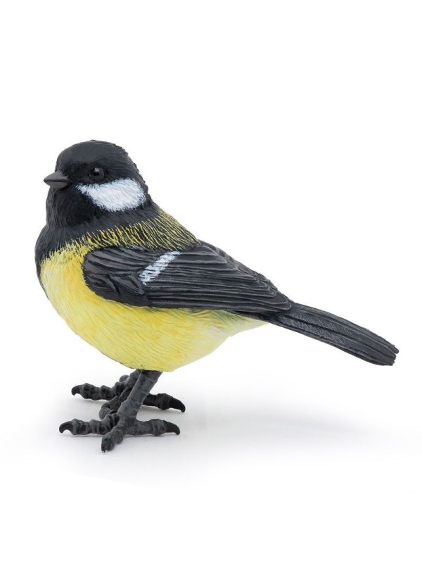 Mésange