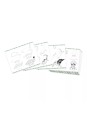 Step by step drawing - 20 modèles dinos