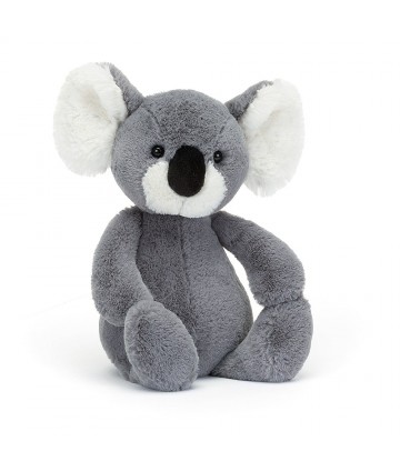 Bashful koala medium