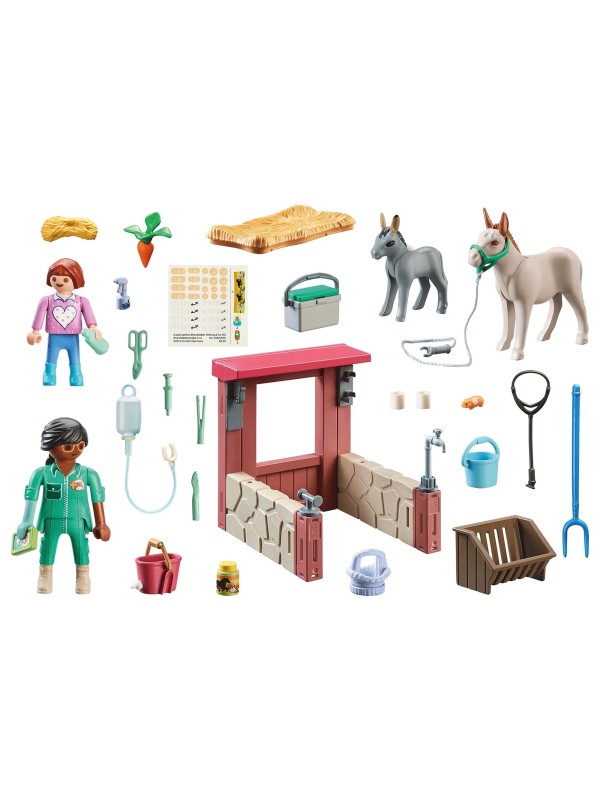Country - Vétérinaire avec animaux de la ferme