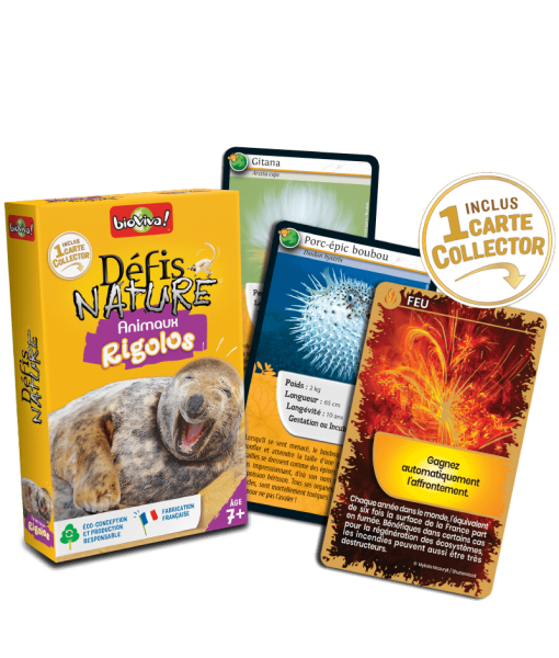 Défis Nature animaux rigolos