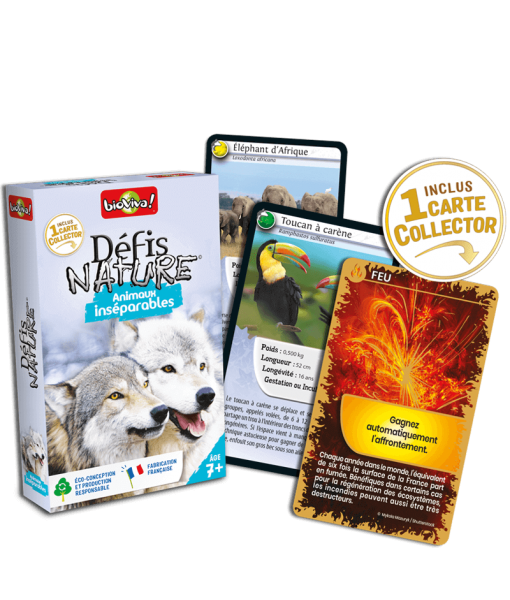 Défis Nature Animaux inséparables