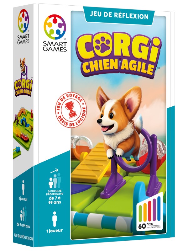 Corgi, chien agile