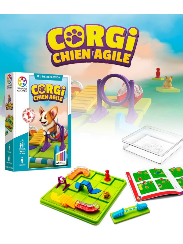 Corgi, chien agile