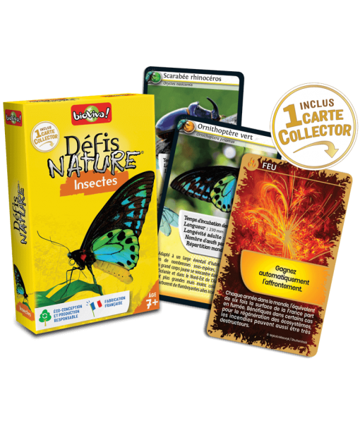 Défis Nature insectes