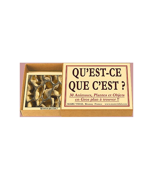 Qu'est-ce que c'est ?