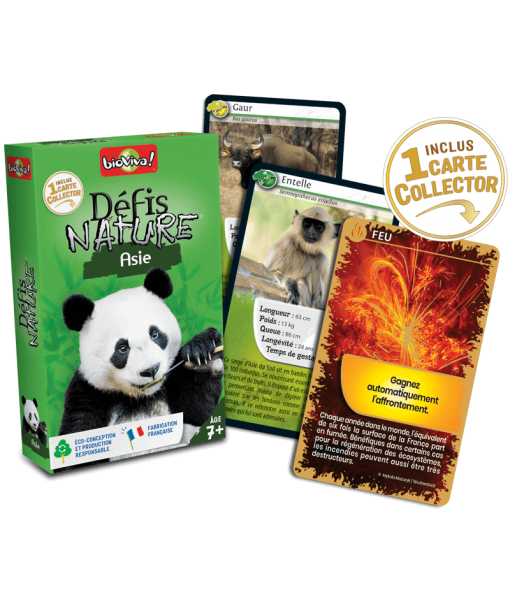 Défis Nature Asie