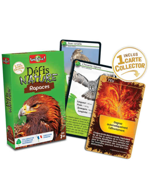 Défis Nature rapaces