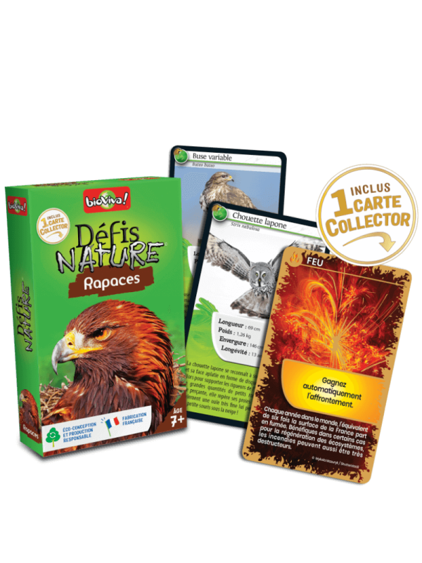 Défis Nature rapaces